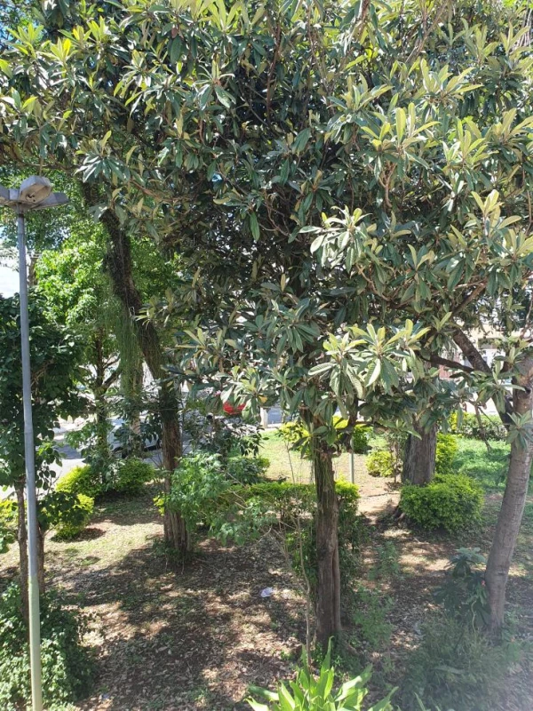 Foto 10: Sobrado em Taubaté, Locação