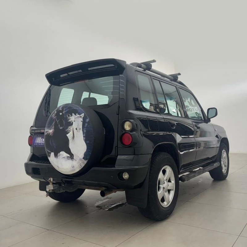 Foto 18: MITSUBISHI PAJERO TR4 FLEX 2009