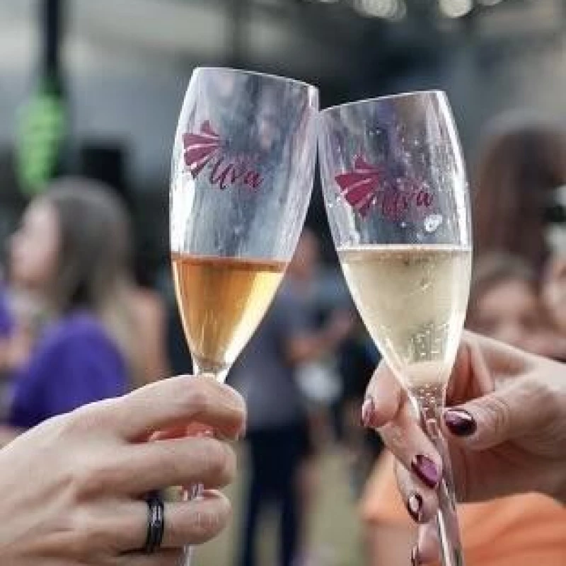 Excursão para a Festa da Uva em Jundiaí