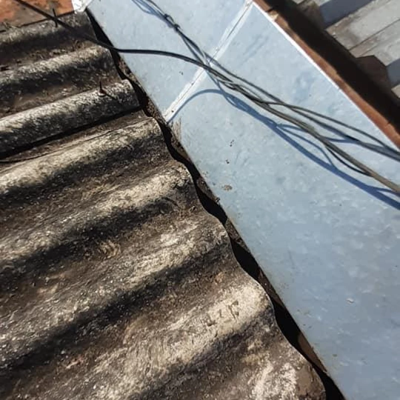 Limpeza de Calha