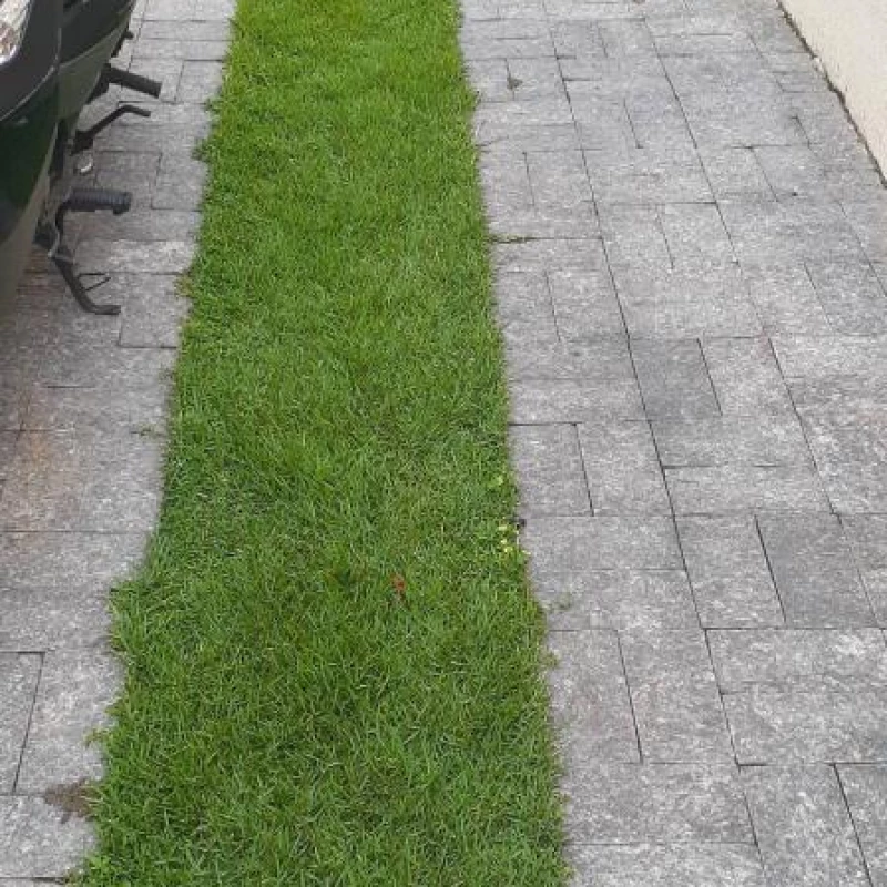 Jardinagem