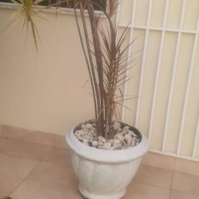 Jardinagem