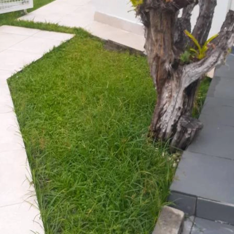 Jardinagem