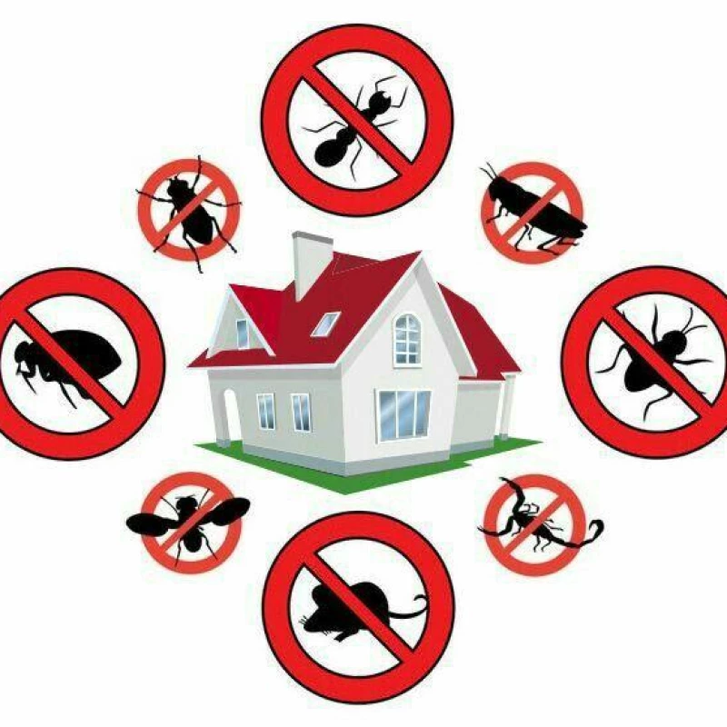 Detetização , controle de pragas urbanas 