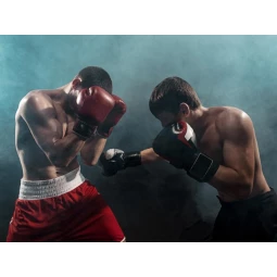Foto Aulas de Boxe