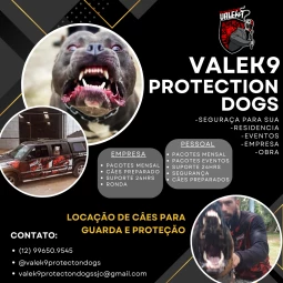 Foto VALEK9 PROTECTION DOGS - SEGURANÇA COM CÃES