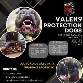 Foto VALEK9 PROTECTION DOGS - SEGURANÇA COM CÃES