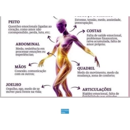 Foto O Corpo Fala:: Como as Emoções Afetam Sua Saúde e Bem-Estar