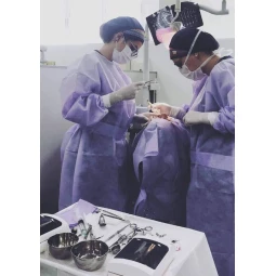 Foto Diatheke Paramentação Odonto. -Diatheke - Implante- 40g -LILAS                                            