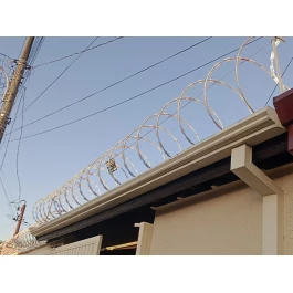 Concertina (ouriço)