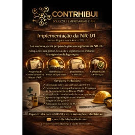 Auxílio Implementação NR-01