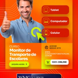MONITOR DE TRANSPORTE ESCOLAR