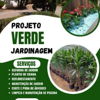 Detetização , controle de pragas urbanas 