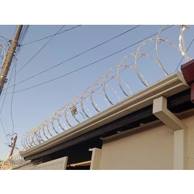 Foto Concertina (ouriço)