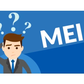 Foto Acompanhamento Mensal do MEI