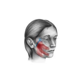 Foto Fisioterapia na Paralisia Facial