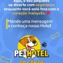 Foto 1:  Pet Hotel do Conde