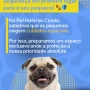 Foto 1:  Pet Hotel do Conde
