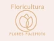 Flores Fujimoto Container