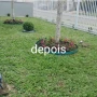 Foto 1:  CH Jardinagem e Paisagismo 
