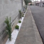 Foto 1:  CH Jardinagem e Paisagismo 