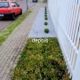 Foto 1:  CH Jardinagem e Paisagismo 