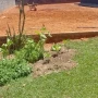 Foto 1:  CH Jardinagem e Paisagismo 