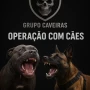 Foto 1:  Grupo Caveiras