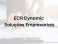 Logo de ECR Dynamic Soluções Empresariais Assessoria Fiscal Certificado Digital