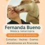 Foto 1:  Fernanda Bueno Veterinária em Domicilio