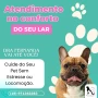 Foto 1:  Fernanda Bueno Veterinária em Domicilio