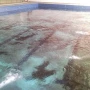 Foto 1:  C.R.L. Piscinas & Serviços 