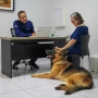 Foto 1:  MedCani Clinica Veterinária