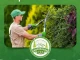 Logo de FR Jardinagem 