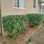 Foto 1:  FR jardinagem 