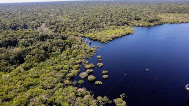 Foto: COP30: quarto leilão do Eco Invest terá foco exclusivo na Amazônia