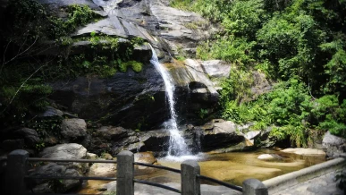 Foto: Parque Nacional da Tijuca promove feira de ciências com foco em peixes