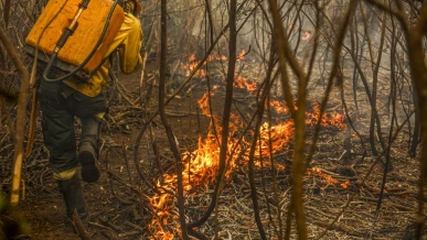 Foto: Governo lança painel inédito para rastrear gastos ambientais