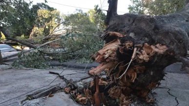 Foto: MIDR reconhece situação de emergência em 21 municípios 