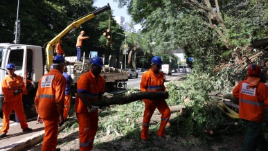 Foto: Após ventania, São Paulo tem 1,5 milhão de clientes sem energia