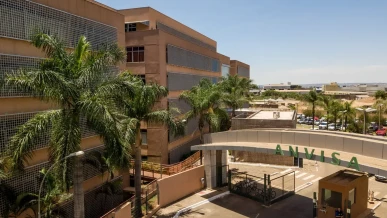 Foto: Anvisa suspende suplementos alimentares de duas marcas; confira