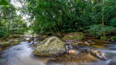 Foto: Plano busca fortalecer Sistema Nacional do Meio Ambiente até 2036