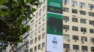 Foto: Rio lança painel para população acompanhar plantio de árvores