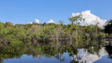 Foto: Tesouro muda regras de leilão para projetos sustentáveis