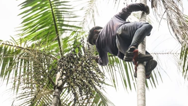 Foto: Governo investe R$ 132 milhões em regularização fundiária na Amazônia
