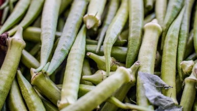 Foto: Garantia-Safra: veja lista dos que receberão pagamento em abril