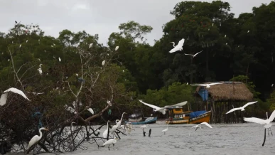Foto: Amazônia Soberana: programa vai combater crimes em áreas de fronteira