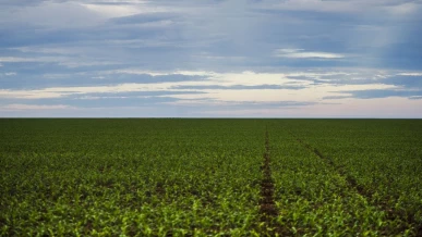 Foto: Fazenda estuda Fundo Garantidor para dívidas rurais