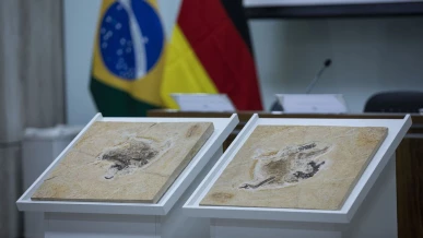 Foto: Brasil quer recuperar dinossauros e patrimônios que estão em 14 países