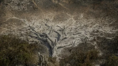Foto: Mudanças climáticas já afetam 85% dos brasileiros, diz pesquisa